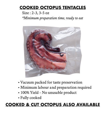 Octopus-1-4