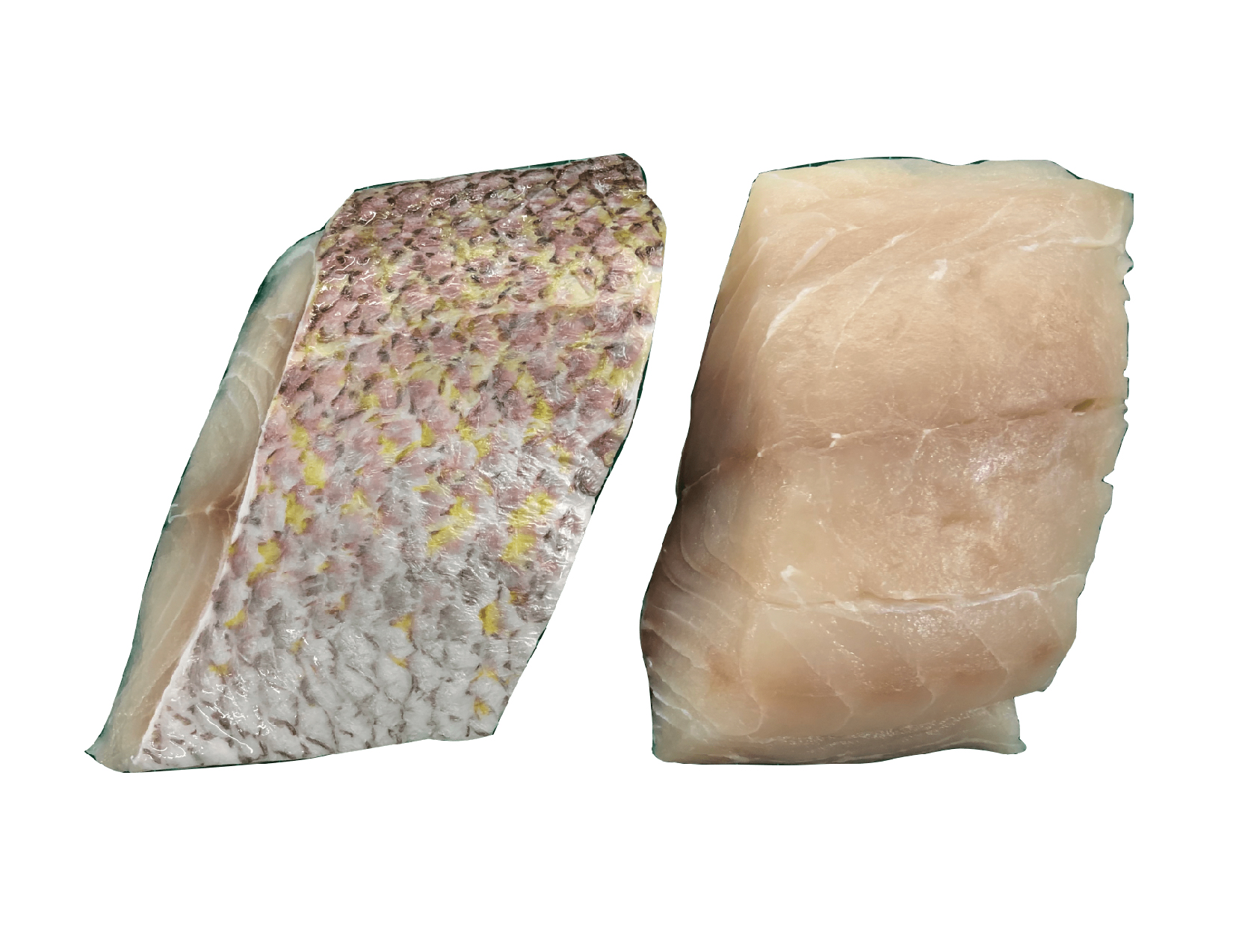 snapper-1-01