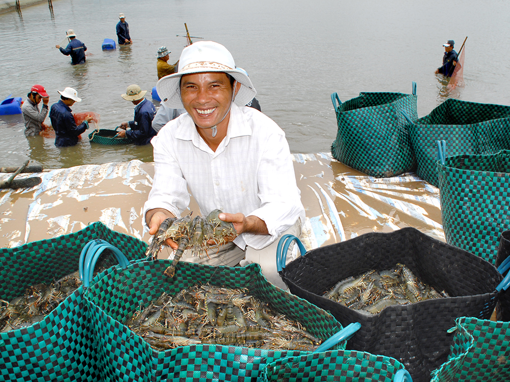 Responsibly Sourced quality seafood