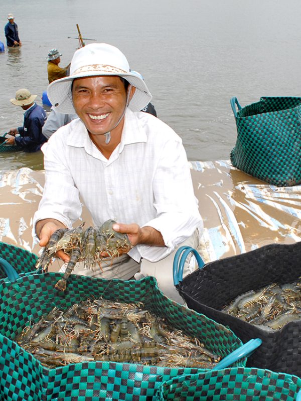 Responsibly Sourced quality seafood